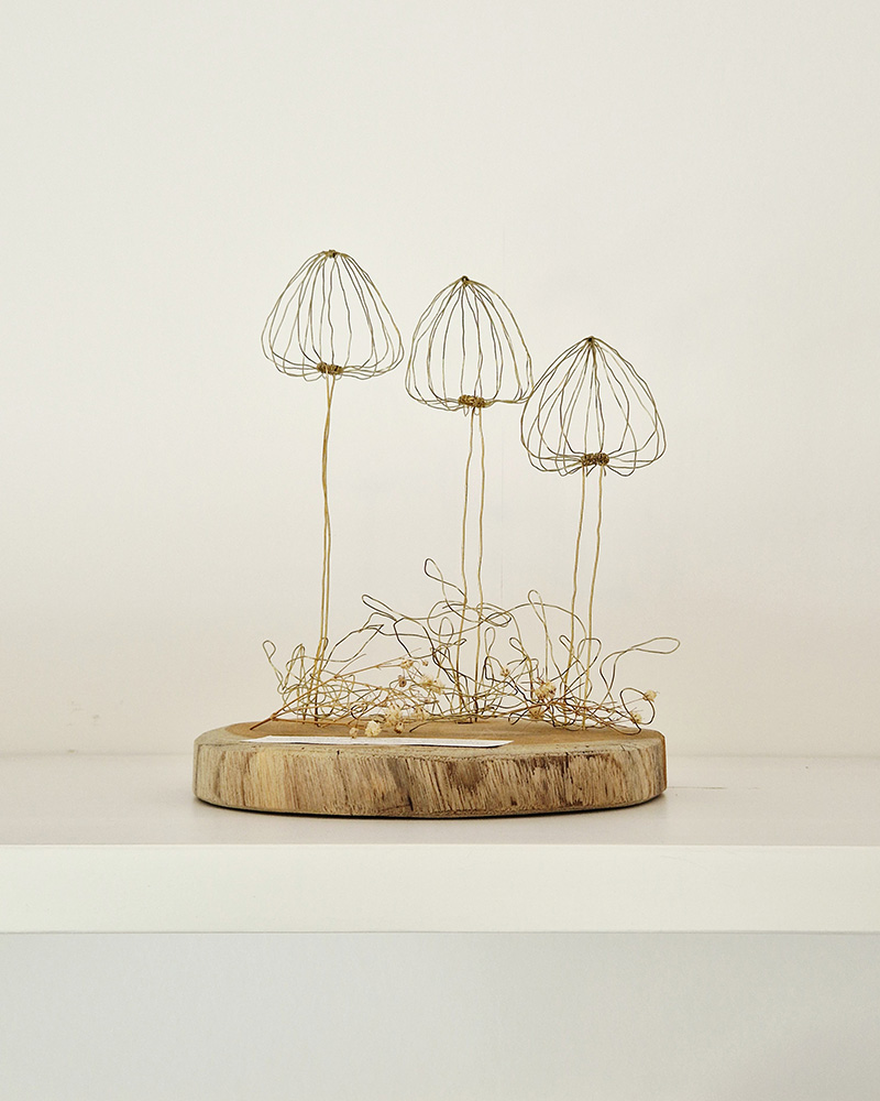 Draadkunst Paddenstoelen – Set van drie | Meisje van draad | Draadkunst